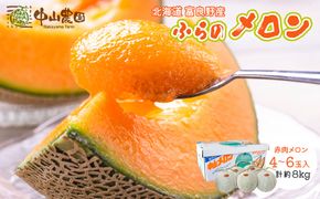 【2026年夏発送】北海道 富良野産 赤肉メロン 4～6玉 大箱8kg メロン フルーツ 果物