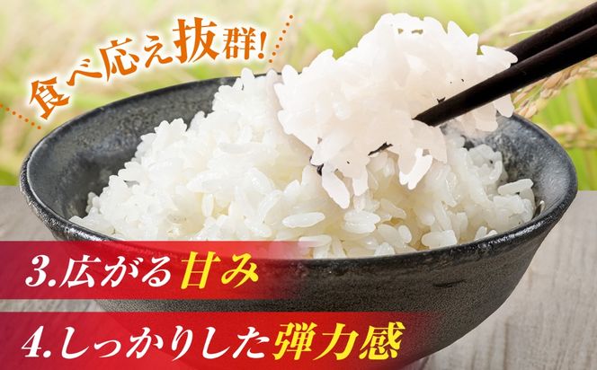【6回定期便】コシヒカリ 白米 10kg×6か月 / 脇野コンバイン[AECP028]