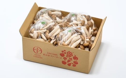  ぶなしめじ 300g × 4袋  300g × 6袋  選べる内容量 ［おぶせファーマーズ］ きのこ キノコ 野菜 鍋 炒め物 長野 信州 