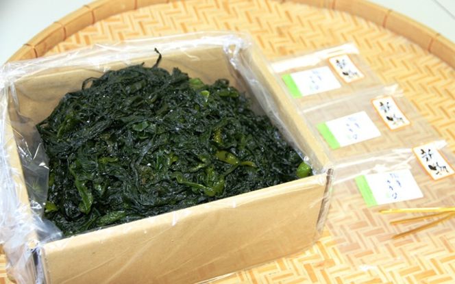 【令和8年発送/予約受付開始】立春採れの柔らか新芽!くにさき天然わかめ1.5kg_1443R