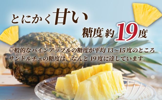 先行予約】《2025年夏季 順次発送》サンドルチェ大玉3～4個 計