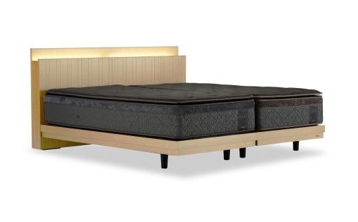 フランスベッド テレス02C 脚付きタイプ シングル／セミダブル マットレス付き／フレームのみ