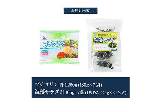  プチマリンと海藻サラダセット (合計14袋・2種×各7袋) 冷蔵 海藻 寒天 ヘルシー カロリーオフ サラダ 酢の物 スープ 大分県 セット 詰め合わせ 大分県 佐伯市【CW14】【山忠】