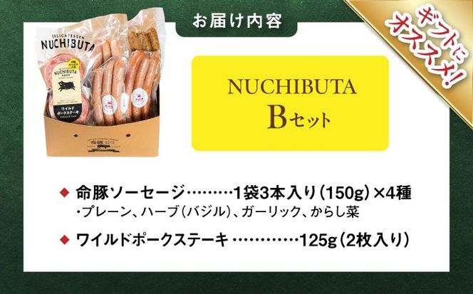 『NUCHIBUTA Bセット』 豚肉 ポークステーキ ソーセージ 詰め合わせ お取り寄せ 国産 ギフト 冷凍 沖縄市 / DELICATESSEN NUCHIBUTA [BCAR004]