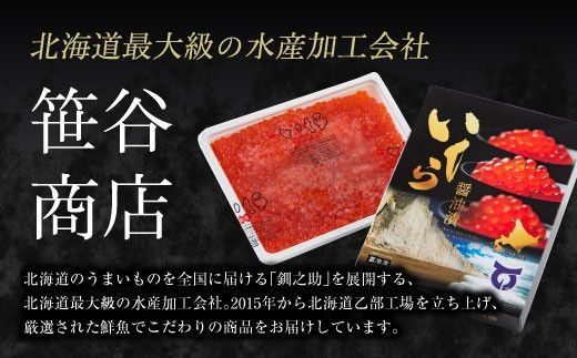 【数量限定 特別価格】鮮度にこだわった＜笹谷商店 いくら　２パック（500ｇ×２）１ｋｇ＞絶品の醤油タレで漬けたいくら（検索：いくら イクラ 鮭いくら 鮭イクラ 醤油いくら 醤油イクラ いくら丼 いくら醤油漬け イクラ醤油漬け 秋鮭 国産 北海道産 北海道乙部町 日本海 冷凍 人気 訳あり 定額減税 使い道 ふるさと納税）