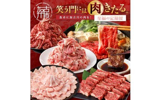 「笑う門には肉きたる」食卓に加古川の肉を!至福の定期便[ お肉 牛肉 豚肉 定期便 志方牛 カルビ ローストビーフ ポーク バーベキュー しゃぶしゃぶ すき焼き ][2507A00202]