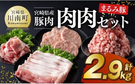 宮崎県産豚肉 「まるみ豚」 肉肉セット計2.9kg [ 肉 豚肉 国産 モモ ミンチ ハンバ―グ スライス こま切れ 弁当 おかず お手軽 真空パック 九州産 宮崎県産 川南町産 送料無料 ][D11519]