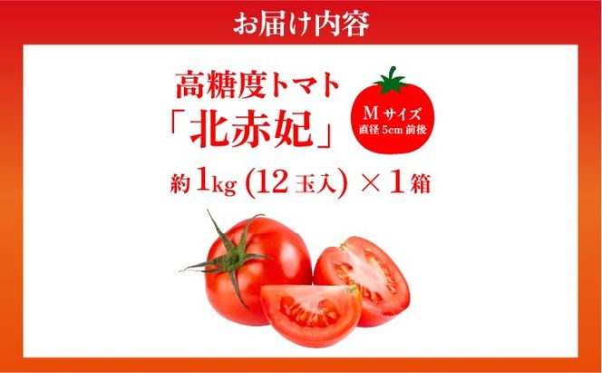 【2026年 発送 】 先行予約 北海道 伊達市 高糖度 トマト 北赤妃 きせき 約1kg  1箱 Mサイズ とまと 新鮮 ジューシー 産地直送