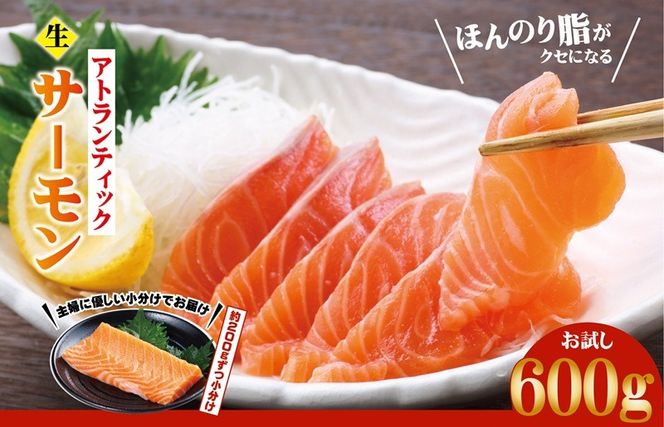 y{򍲖szG3544 AgeBbNT[   600gyH  200g×3P ؂ hg  CNz