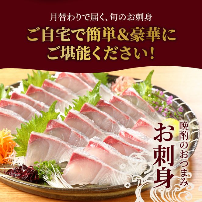 【お楽しみ定期便】延岡産活〆鮮魚の豪華お刺身（12ヶ月定期便）N019-YYG0191