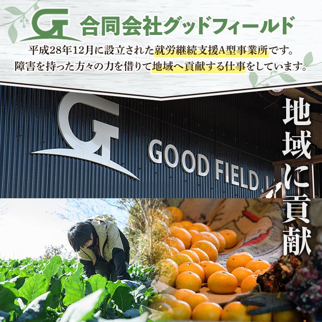 数量限定！冷凍オクラ(計1kg・250g/袋) 野菜 冷凍 冷凍野菜 夏野菜 オクラ ホール カット 簡単 手軽 小分け 数量限定 【合同会社グッドフィールド】akn056-02