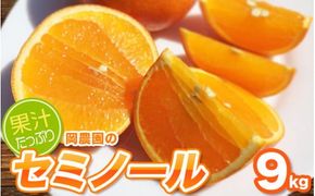 サイズL以上(L・2L・3L)岡農園のセミノール9kg【2025年3月下旬から4月下旬までに順次発送】 / セミノール みかん 蜜柑 数量限定 ミカン【mok002A】