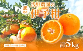 【先行予約】【訳あり】伊予柑計5kg ※離島への配送不可（2027年2月上旬頃より順次発送予定 ）IKTAC034