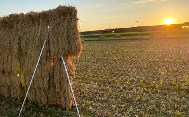 天日干有機米こしひかり「天地の誉」玄米5kg×2個 お米 コシヒカリ 石川県産 