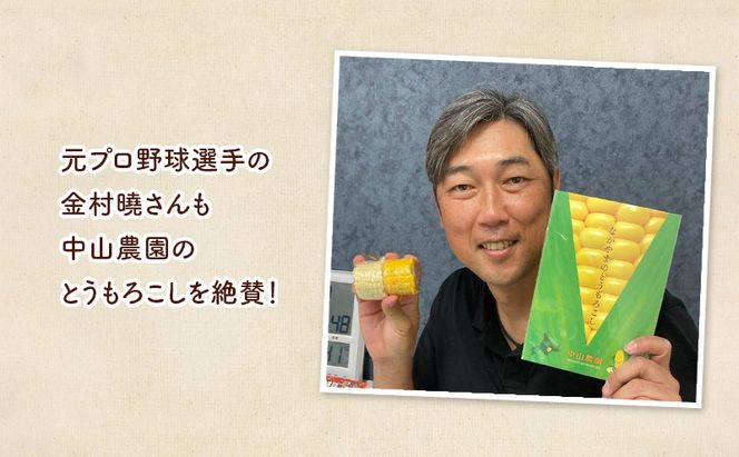 北海道 幕別町産 中山農園 朝どれ とうもろこし 3種 10本 （1本350g以上） [ 北海道産 スイートコーン 野菜  十勝 幕別 新鮮 テレビで紹介 ]