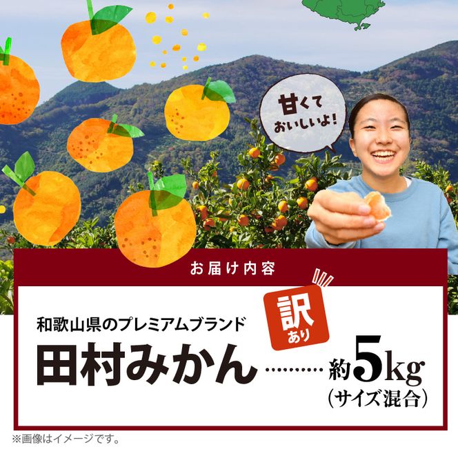 AB7301_ 【2026年先行予約】ご家庭用 田村みかん サイズ混合(2S～２L)  約5kg _  わけあり 訳あり 和歌山プレミアムブランドみかん 小玉 中玉 大玉 蜜柑 ミカン フルーツ 果物