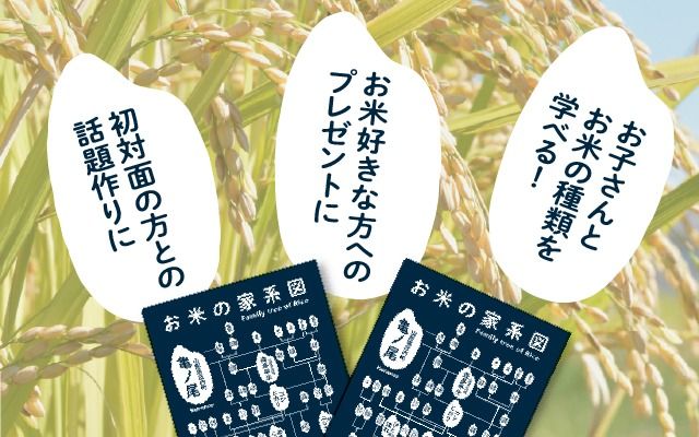 山形庄内かめこめプロジェクト お米の家系図 クリアファイル A4 1枚 オリジナル グッズ 文房具