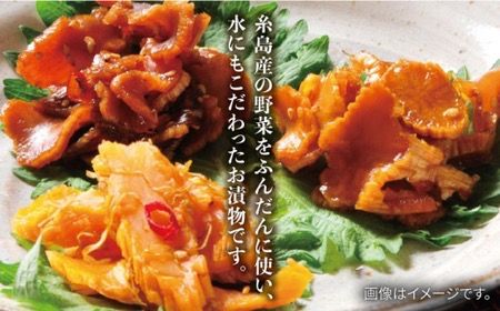 【全6回定期便】荒木さん家の こだわり 漬物 6種 詰め合わせ セット （みそ漬 / 漬刻み / 奈良漬 / 雷山漬 / 漬殿様 / 黄たかな漬）《糸島》【荒木のつけもの】 [ACE003]