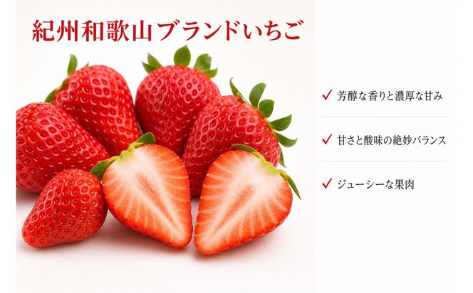 紀州和歌山ブランドいちご「紀の香」約250g×4P ［UT143］ 303446_XF91191