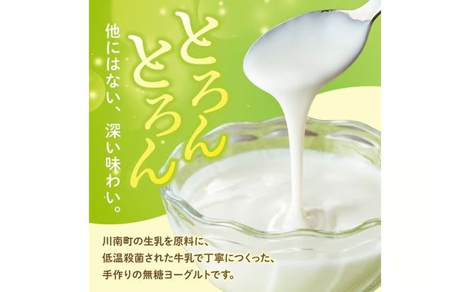 ※選べる個数※とろんとろんヨーグルト 【 ZIP!で紹介 とろんとろんヨーグルト トロントロンヨーグルト トロントロン 乳製品 川南町 送料無料 】 [B02903 B02904 B02905 B02906]