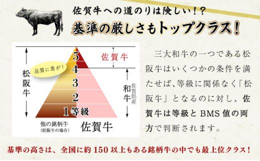 【お中元】200g×2枚 佐賀牛サーロインステーキ（のし対応可）