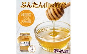 爽やかな香り広がる100%天然蜂蜜 ぶんたん山の蜂蜜　360g 5本入り /  はちみつ ハチミツ 高知県産 国産 天然はちみつ 土佐 高知 【白木果樹園】【白木果樹園】 [BQAI056]