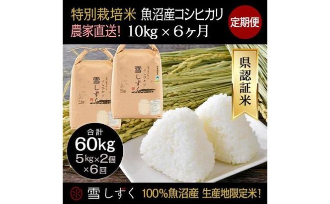 【令和8年産】定期便！農家直送！県認証特別栽培魚沼産コシヒカリ【合計60kg】毎月10kg×6回 精米 ご飯 ブランド米 銘柄米