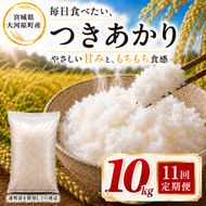 つきあかり 定期便 11回/10kg（5kg×2袋） 令和8年産 新米 ブランド米 白米 精米 【小分け】 宮城県大河原町産