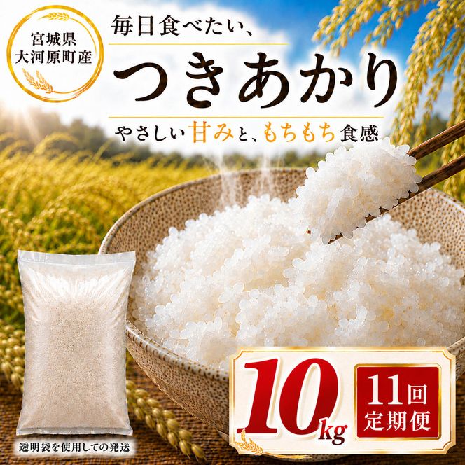 つきあかり 定期便 11回/10kg（5kg×2袋） 令和8年産 新米 ブランド米 白米 精米 【小分け】 宮城県大河原町産