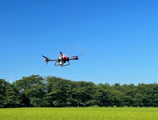 【6ヶ月定期便】富山県滑川産 弱アルカリ性米「ピロール農法米 コシヒカリ」与文のお米 （精米5kg）×6回 計30kg [J-050001] / 産地直送 こしひかり おにぎり お米 白米 国産 ご飯 ごはん 滑川市 ピロール アグリめぐみ 頒布会 定期便 [J-050001]