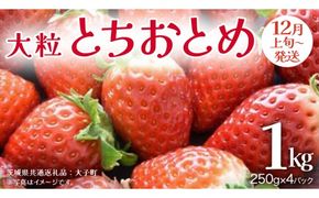 とちおとめ 大粒 250g（8～12粒）×4パック【2026年12月上旬発送開始】(茨城県共通返礼品：大子町) いちご 苺 果物 フルーツ 果実