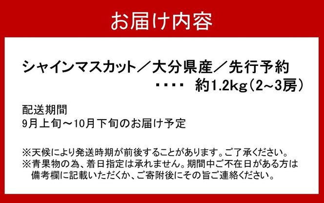 【先行予約】【令和8年発送】おおいたの豊潤シャインマスカット約1.2㎏_2609Ｒ