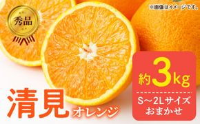 DZ6103_【2027年先行予約】秀品 きよみ 清見オレンジ 和歌山 有田 S～2Lサイズ 大きさお任せ 約3kg