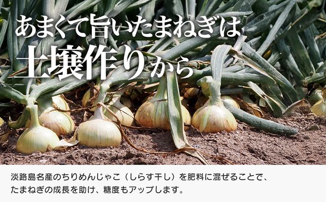 道の駅あわじ厳選新玉ねぎ５kg【発送時期2026年5月頃】