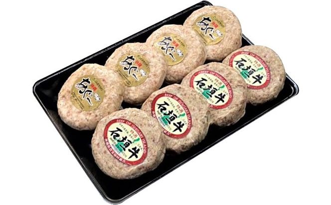 【全12回定期便】沖縄県産 あぐー豚＆石垣牛 ハンバーグセット 800g (100g×8個) 豚 牛 ハンバーグ 冷凍 ギフト お取り寄せ 沖縄市 / お肉屋本店[BCAZ017]