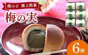 【老舗の菓子屋】築上銘菓「 梅の実 」6 個《築上町》【有限会社 御菓子司 鹿の子】[ABAC015]