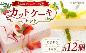 レアチーズケーキ( あまおう/ 日向夏 ) ケーキ 2種12個 冷凍 糸島市 / 五洋食品産業 [AQD008] お祝い バースデー クリスマス 誕生日ケーキ 冷凍ケーキ 詰め合わせ