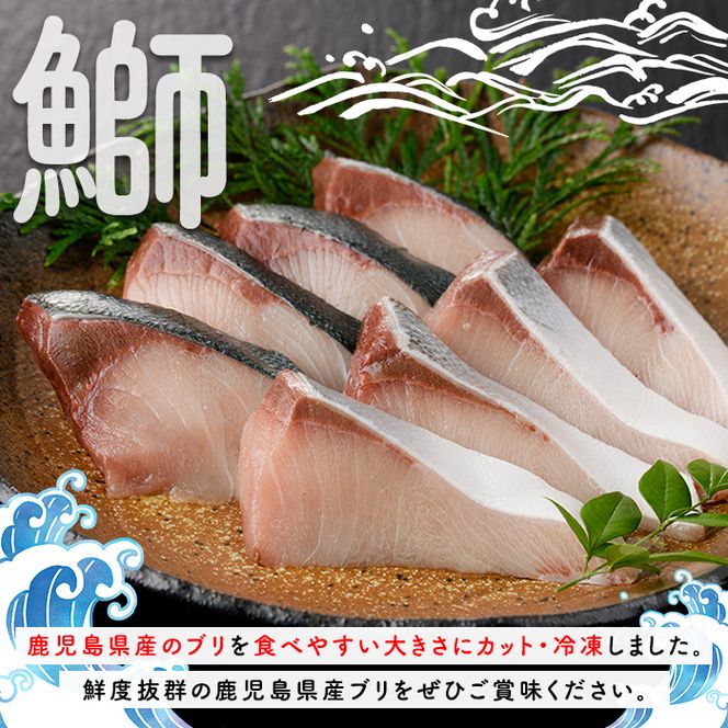 ブリの切り身(バラ・約2kg) 国産 鹿児島県産 ブリ 鰤 魚貝 魚介 海産物 焼き魚 煮つけ ブリカツ バラ 【株式会社島水】akn102-02