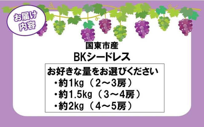 テレビで紹介されました！【先行予約】【令和8年発送】農家直送！ 新鮮！ 朝づみぶどう BKシードレス 種なし 約1kg 約1.5kg 約2kg フルーツ 果物 贈答 大分県産 採れたて_2657R
