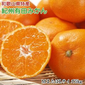 ZD6190n_【2026年先行予約】【秀品】 和歌山 有田みかん 5kg (MサイズまたはLサイズ) 【ミカン 蜜柑 柑橘 温州みかん 有田みかん】