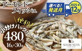 （数量限定）【2025年 年内発送】 手軽に健康習慣 小分けのこざかなアーモンド カシューナッツ入り 480g(16gｘ30袋) おうち時間 おやつ 大満足 美容 健康 栄養豊富 人気 高リピート ナッツ H059-121_Dec