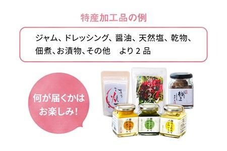 【 糸島 の 福袋 ！ 】朝採り オーガニック 旬 野菜 お任せ 5品 ＋ 糸島産 大ヒット 特産 加工品 2品 のセット《糸島》【オーガニックナガミツファーム】 	[AGE028]