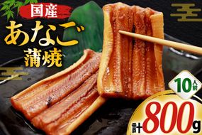 あなご 国産 蒲焼 カット 10パック 10人前 800g [大黒物産株式会社 福岡県 宇美町 um40bak830034] 穴子 アナゴ タレ たれ 蒲焼き 魚 海鮮 魚介 冷凍 小分け おかず おつまみ ご飯のお供