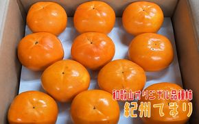 紀州てまり 22～32玉 約7.5kg入り【和歌山オリジナル品種柿】 ※2026年11月上旬～11月下旬頃に順次発送予定【GO-09】【ard224A】