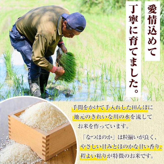 鹿児島県産のお米 なつほのか(計5kg) 国産 白米 自社精米 ご飯 おこめ おにぎり お弁当 【谷口ファーム】 akn064-13
