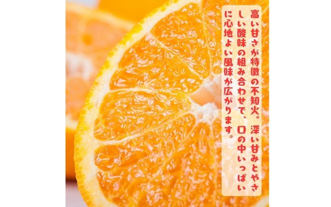 有田育ちの濃厚 不知火 ( デコポン と同品種)( 訳あり 家庭用 ) 約3kg+200g(傷み補償分) ※2027年1月下旬～3月下旬に順次発送【ard022C】