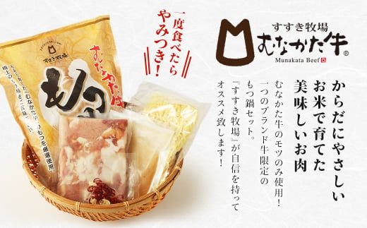 【定期便／3回／毎月お届け】塩もつ鍋 4人前×定期便3回 計12人前【道の駅むなかた】_AM0221-00　むなかた牛 もつ鍋 塩もつ鍋 福岡県宗像市 宗像市 福岡 宗像