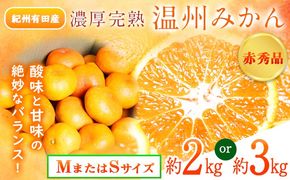 【先行予約】赤秀品 紀州有田産 濃厚完熟温州みかん 選べる内容量 2kg 3kg (MサイズまたはSサイズ) 魚鶴商店《2026年11月下旬-2027年1月下旬頃出荷》和歌山県 日高川町 みかん ミカン 蜜柑 フルーツ 柑橘---wshg_uot172_11g1g_25_12000_3kg---