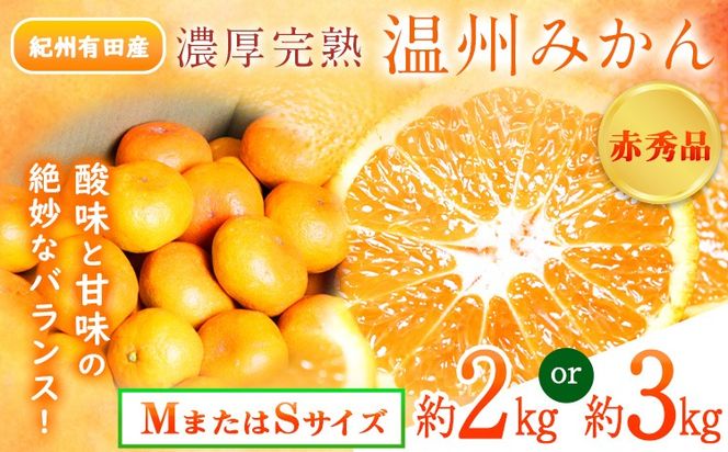 【先行予約】赤秀品 紀州有田産 濃厚完熟温州みかん 選べる内容量 2kg 3kg (MサイズまたはSサイズ) 魚鶴商店《2026年11月下旬-2027年1月下旬頃出荷》和歌山県 日高川町 みかん ミカン 蜜柑 フルーツ 柑橘---wshg_uot172_11g1g_25_12000_3kg---