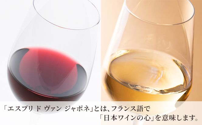 ワイン グランポレール エスプリ ド ヴァン ジャポネ 絢 -AYA-、泉 -SEN- 赤・白 12本セット（各1本 720ml）赤ワイン 白ワイン サッポロビール 岡山ワイナリー ワインセット 国産ワイン 家飲み 